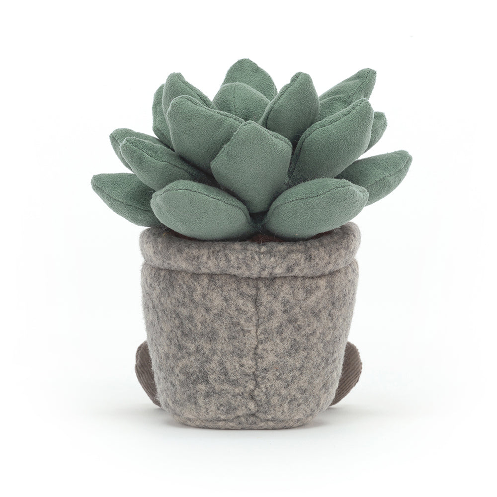 Silly Succulent Azulita - Jellycat