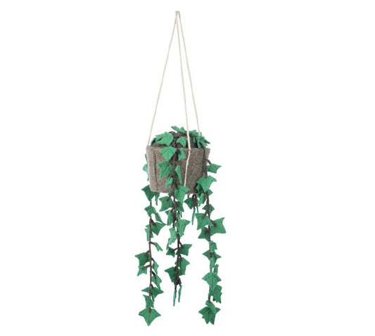 Hedera plant 25x50cm - KidsDepot
